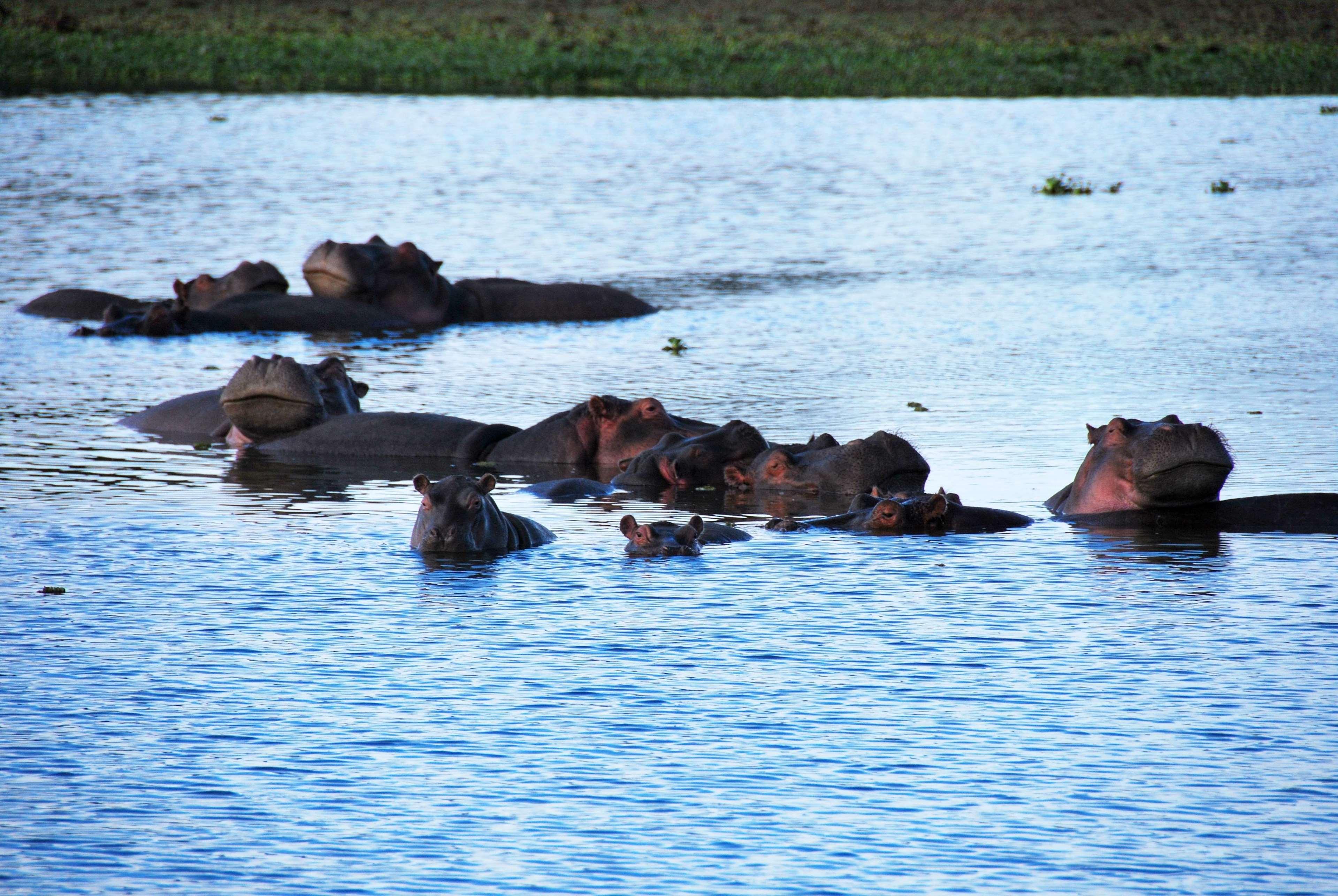 Muthu Lake Naivasha Country Club, Naivasha Karagite Экстерьер фото